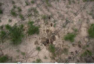 Photo Textures of Ground